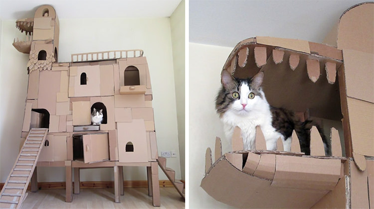 dragon-shaped-castle-for-cat-by-sam-cover
