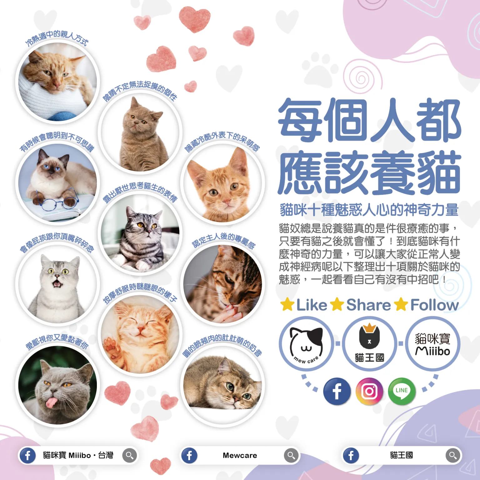 Cat ASMR - Pippit, image size:1536x1536