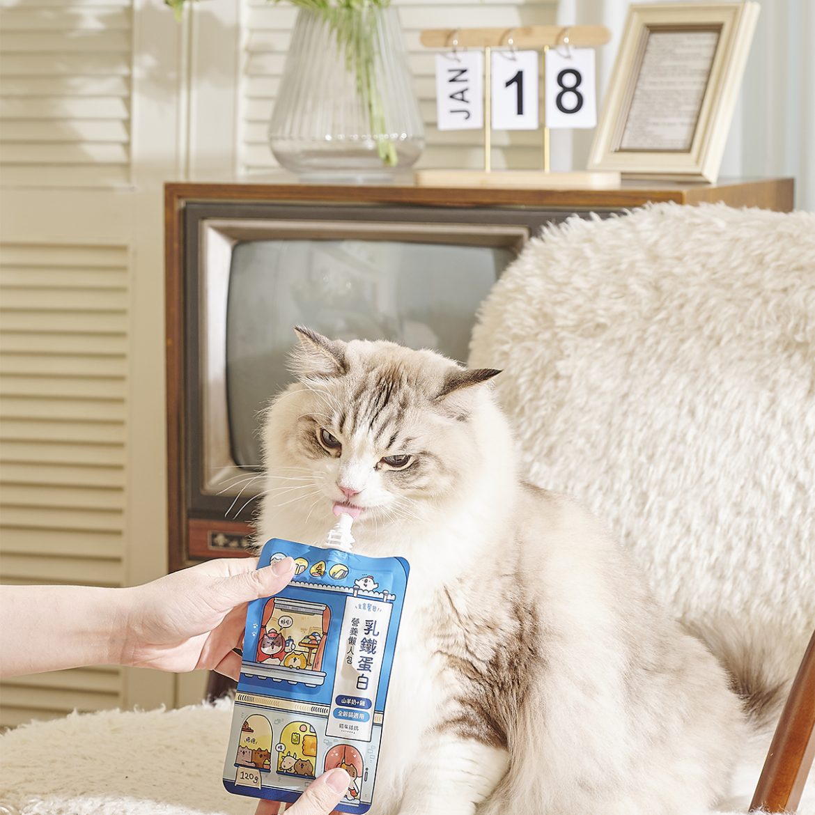 Catssay-Pack-15