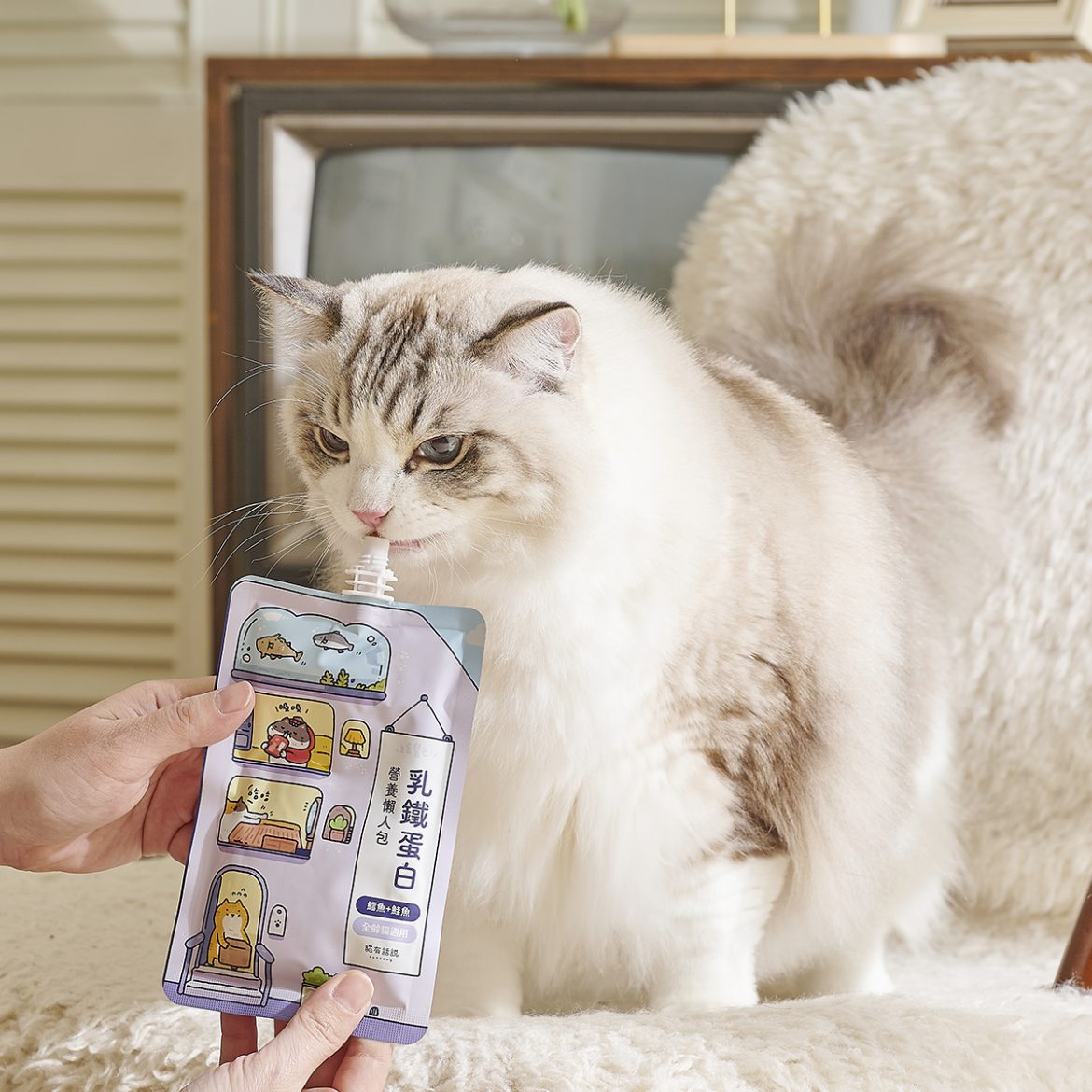 Catssay-Pack-19